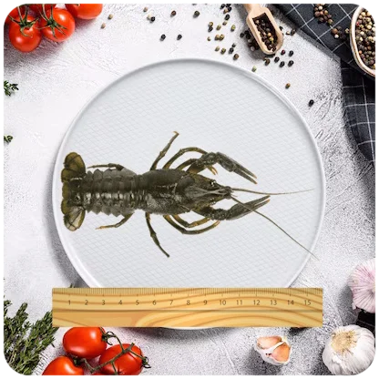 Раки крупные
