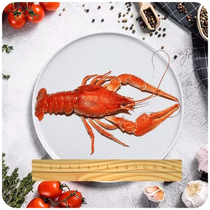 Раки ресторанные вареные